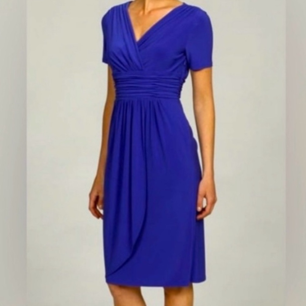 Evan Picone Purple Dress. Size 12P NWOT